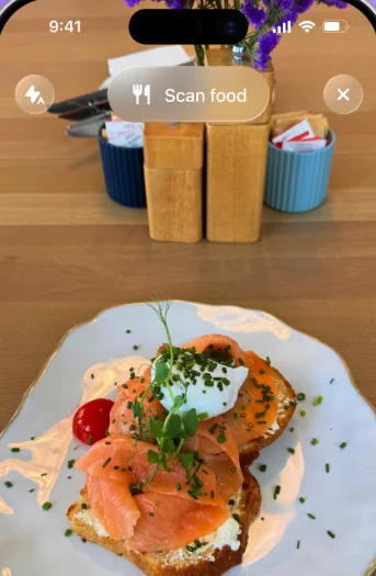 Scanning a meal with the camera